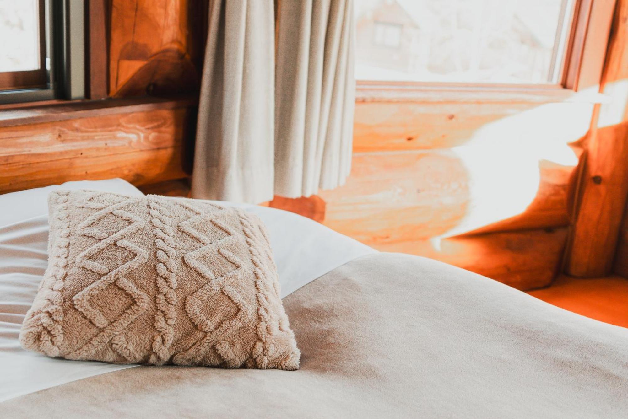 Hakuba Pension & Log Hotel Meteor Exterior photo