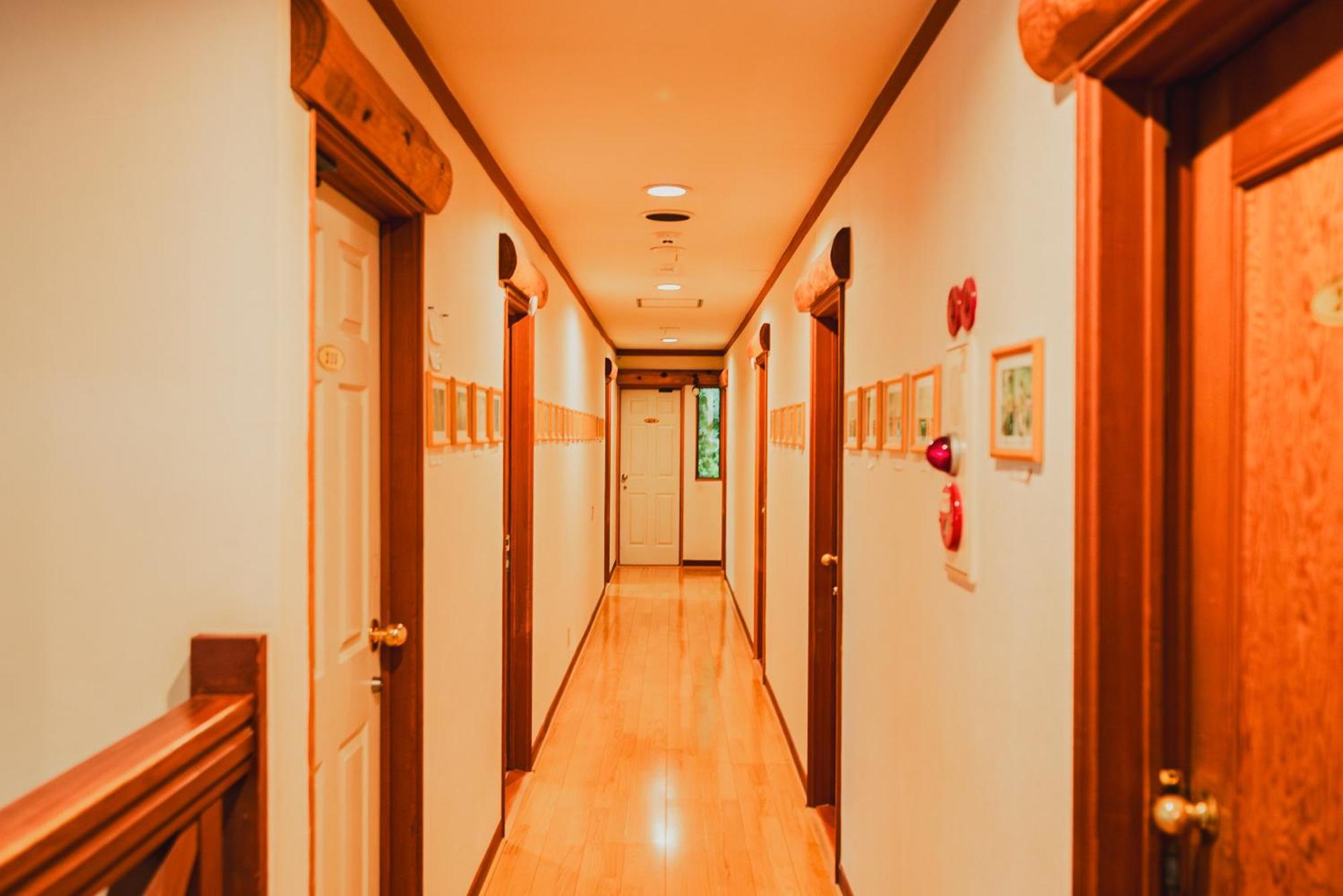 Hakuba Pension & Log Hotel Meteor Exterior photo